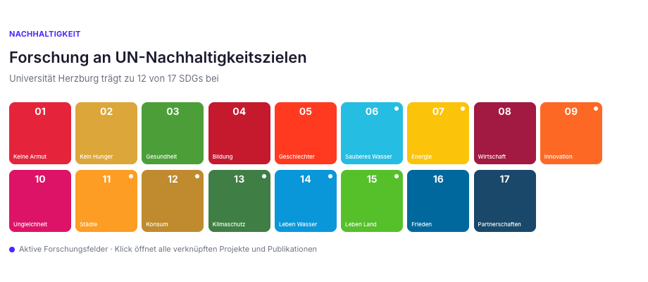 17 SDGs als Kachel-Grid mit aktiven Feldern