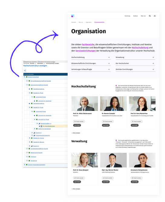 organisation design